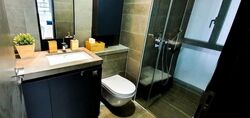 Skysuites@Anson (D2), Apartment #553420691